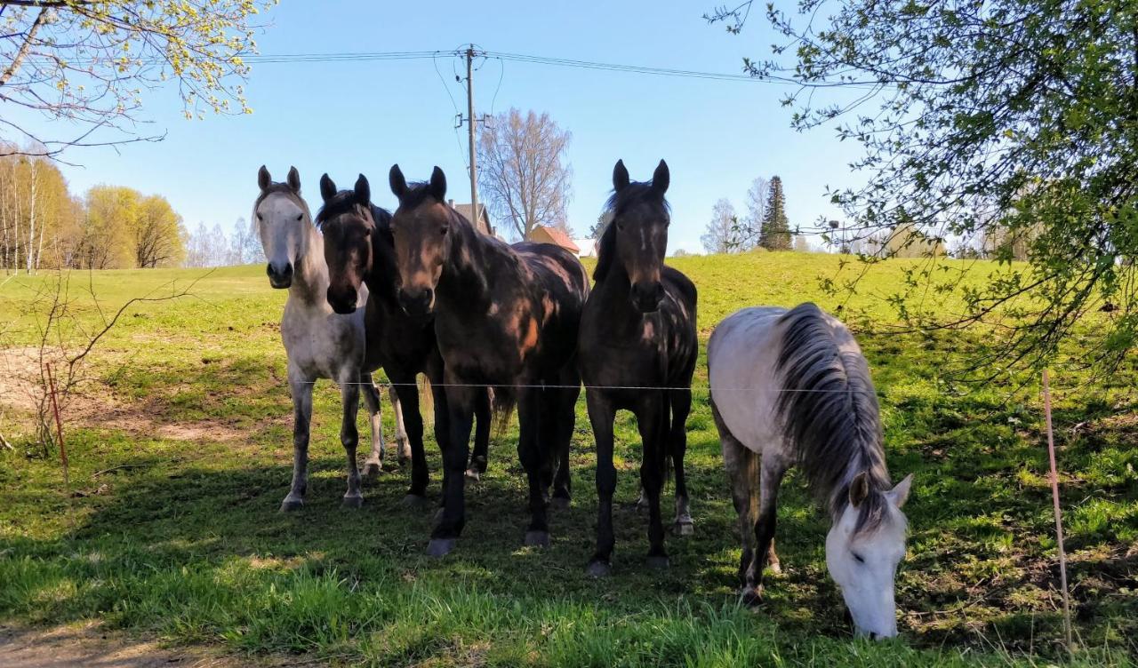 Eha Farmstay Rõuge Esterno foto